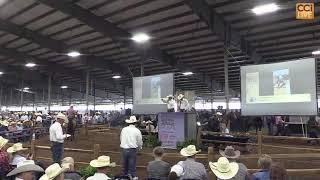 Western Heritage Classic Ranch Horse Sale, Abilene, TX May 13, 2023