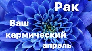 Ваш кармический апрель ️ предсказание для знака зодиака Рак 