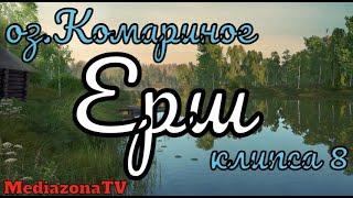 Русская Рыбалка 4 Где Клюет оз.Комариное Ёрш 28.12