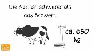Learn German for free / Lektion 23 B Komparativ Superlativ
