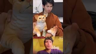 cute cat funny video  #funny #fails #comedy