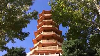 AUSTRALIA -   NAN TIEN TEMPLE - WOLLONGONG NSW