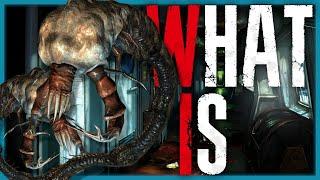 What is the Malacoda? (Resident Evil: Revelations)