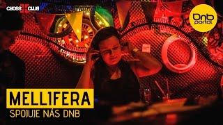 Mellifera - Spojuje nás DnB (Vinyl mix)  | Drum and Bass