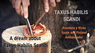 Dreaming with a Bushcraft Knife. Taxus Habilis Scandi.