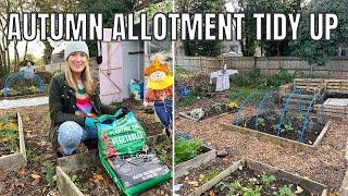 AUTUMN TIDY UP AT THE ALLOTMENT / ALLOTMENT GARDENING UK