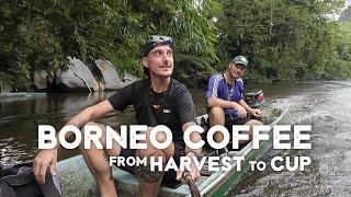 UPRIVER BORNEO | In Search of the Best Coffee in Sarawak