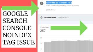 How To Fix Excluded by ‘noindex’ tag Errors in Google Search Console WordPress