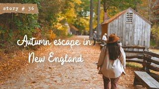  Autumn Escape to an OFF GRID Barn Cabin | New England FALL | SLOW LIVING VLOG