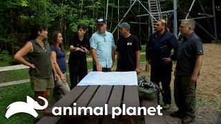 A Group of Sasquatches SURROUNDS the Team! | Finding Bigfoot | Animal Planet