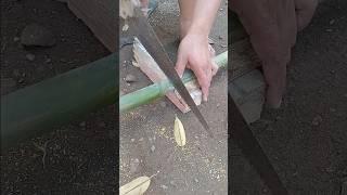 the way I cut #shorts #virals #trend #bamboo