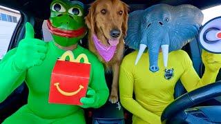 Rubber Ducky Surprises Wolf, Puppy & Police in Car Ride Chase!