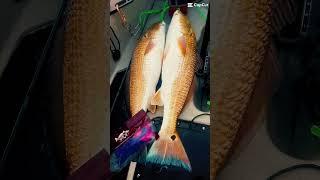 Tubey’s Outfitters Lures