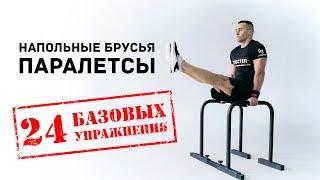 Паралетсы STECTER (хайлетсы, параллеты) - базовые упражнения
