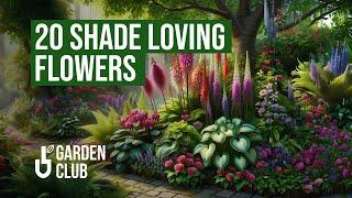 20 Stunning Shade Loving Flowers