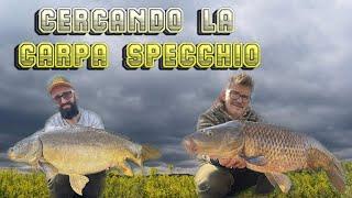 Fiume ARNO Inizio Primavera Carpa Specchio Cercata e Trovata