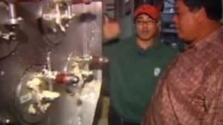 Aloha Tofu Factory Tour