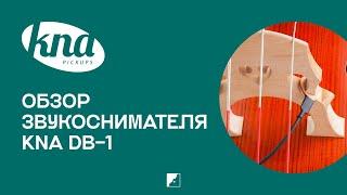 Обзор на звукосниматель для контрабаса KNA DB-1