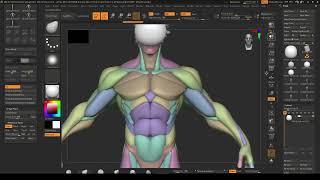 43 Image Planes and Starting the Anatomy Blockout - Intro to Zbrush