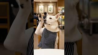 Family dinner out!.. Why won't anyone take my order? ㅠ 