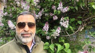 Павел Глоба: ОНЛАЙН-курс Авестийской астрологии