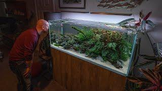 AMAZING 125G AQUASCAPE!!