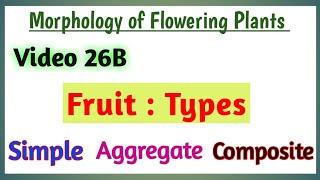 Fruit types || Brief Classification of Fruits || Simple, Aggregate and Multiple Fruit Meaning