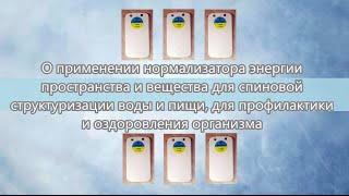 Нормализатор функционального состояния организма Витон-Им. Суржин Владимир Николаевич