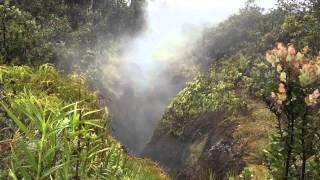 Steam vent at the Volcanos National Park on the Big Island of Hawaii (video #348 by Gabor Stefanics)