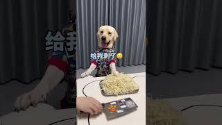 This dog has a hard time eating. I have to use some tricks. Fantastic Beasts on TikTok. If you d