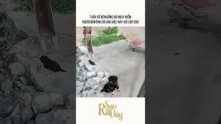THẤY KẾ BÊN ĐỐNG ĐÁ NGUY HIỂM NGƯỜI ĐÀN ÔNG ĐÃ LÀM VIỆC NÀY VỚI CÚN CON