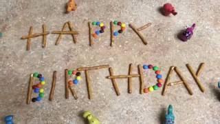 Happy Birthday Animal Stop Motion