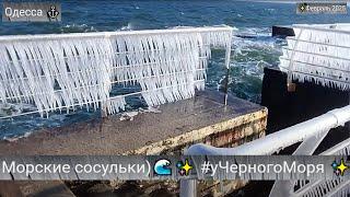 Одесса Морские сосульки) #уЧерногоМоря Февраль 2025