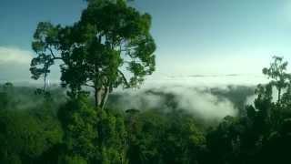 dji phantom 2 zenmuse H4-3D ( close to nature)