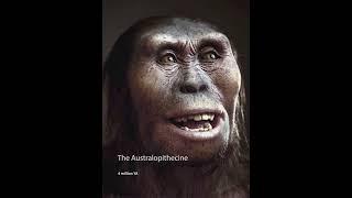 World History Chapter 1 Part 1: The Australopithecines | PREHISTORY