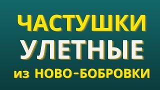 Частушки смешные от Екатерины Степановны решают проблемы с настроением | Гармонист Владимир Кузнецов