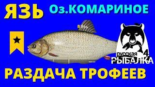 ЯЗЬ ► РАЗДАЧА ТРОФЕЕВ ► Озеро КОМАРИНОЕ ► РУССКАЯ РЫБАЛКА 4 ► ФАРМ  Russian Fishing 4  РР4 RF4