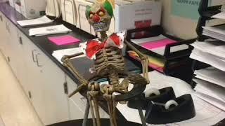 They killed an skeleton and dressed him as an clown -:/