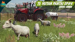 Bakrian on my Farm - Farming Simulator 25 Hutan Panatai gameplay 4