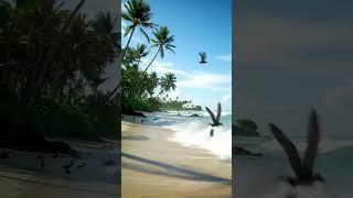 Serenity by the Shore: A Breathtaking View of a Pristine Tropical Beach