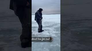 Like. Follow. Subscribe. Share. #alaska #alaskancrab #outdoorsfun