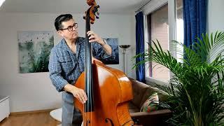 Autumn Leaves - Theme - Solo upright bass performance