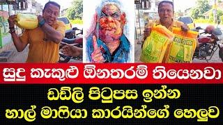 සුදු කැකුළු ඕනතරම් තියෙනවා-ඩඩ්ලි පිටුපස ඉන්න හාල් මාෆියා කාරයින්ගේ හෙලුව