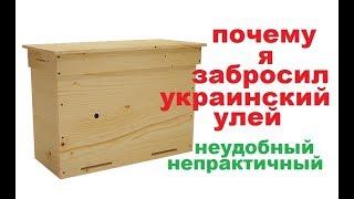 Недостатки украинского улья из моего опыта. выбрал дадан.