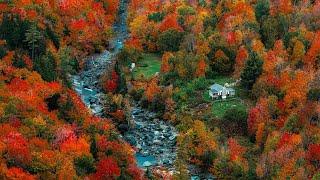  Epic New England Fall Foliage   Raw Peaceful Autumn Life in the American Countryside Compilation