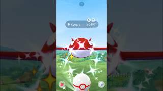 Let’s GO!! Got  Shiny  Whale  in (Pokemon GO)