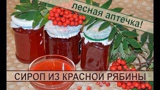 Сироп из ягод красной рябины: рецепт полезной, вкусной заготовки на зиму. Syrup berries of red Rowan