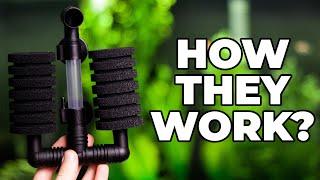 How Do Sponge Filters Work?