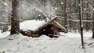 SPENT THE NIGHT ALONE IN A COMFORTABLE UNDERGROUND FOREST HUT / STOCKED UP WITH FIREWOOD