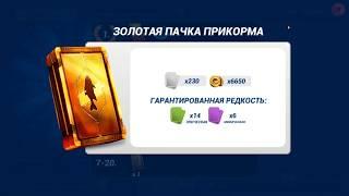 Fishing Clash как поймать легендарную рыбу